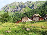 Pizzo dei Tre Signori (2554 m) dalla Val d’Inferno fiorita-24lu24 - fotogallery